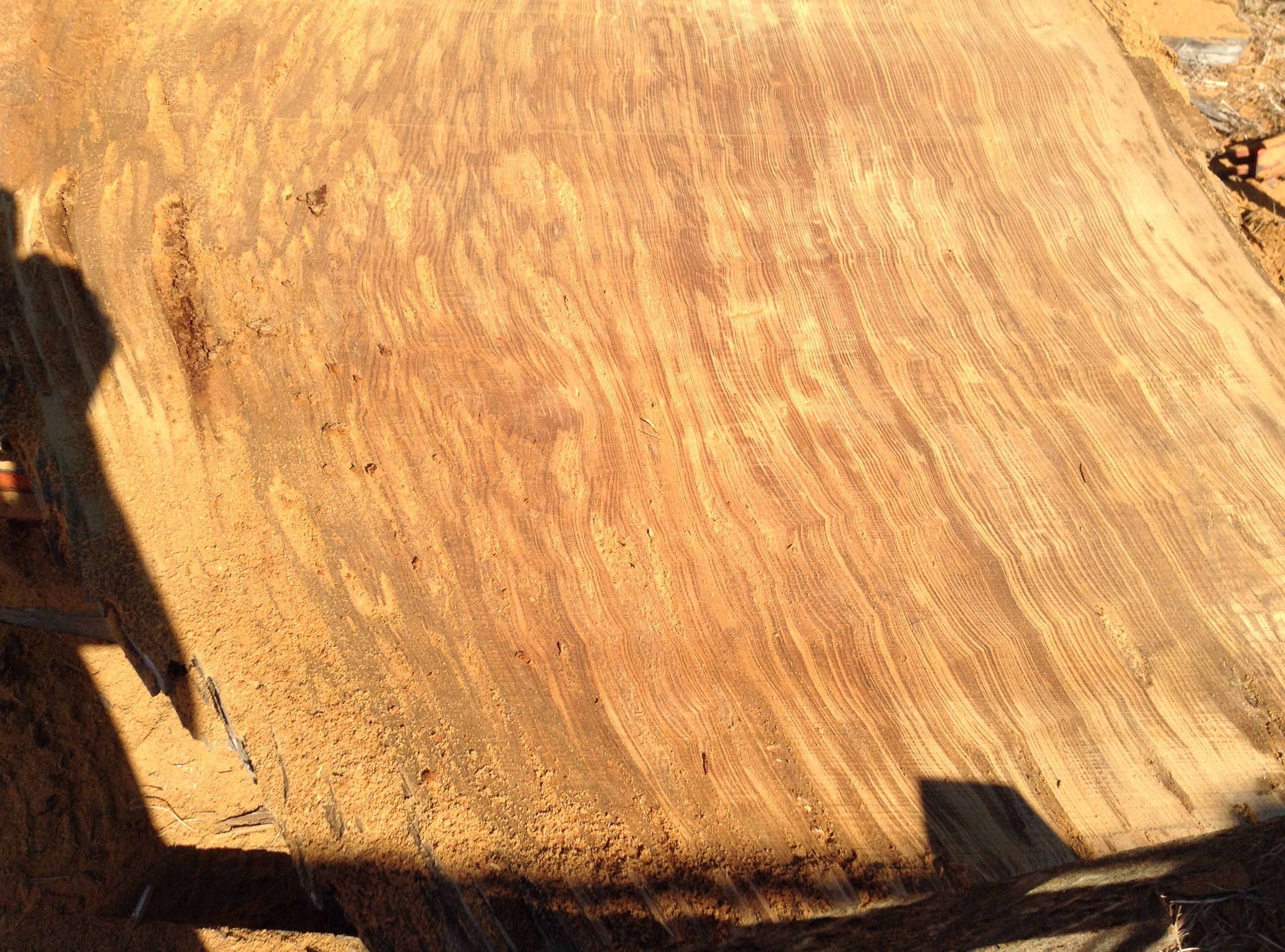 cypress slabs